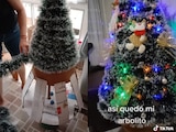 Agradecen video de TikTok con ideas para hacer un árbol de Navidad económico