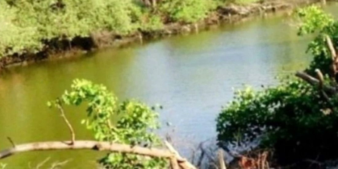 ¿De qué trata el video viral Mangue 937?