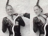 Serpiente muerde a una cantante durante grabación de video