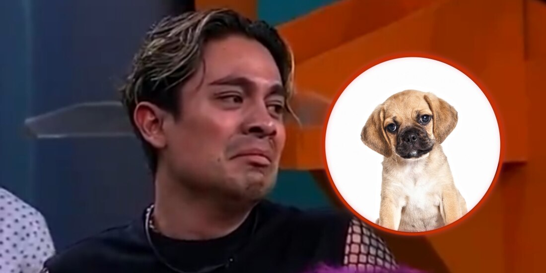 Ricardo Peralta asqueado ¿por un perrito?