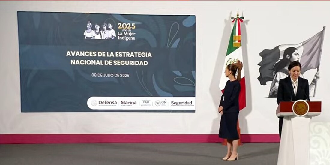 Información sobre la seguridad en el país.