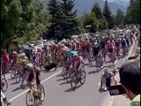Un perro se atravesó a la carretera durante la etapa 12 del Tour de Francia.