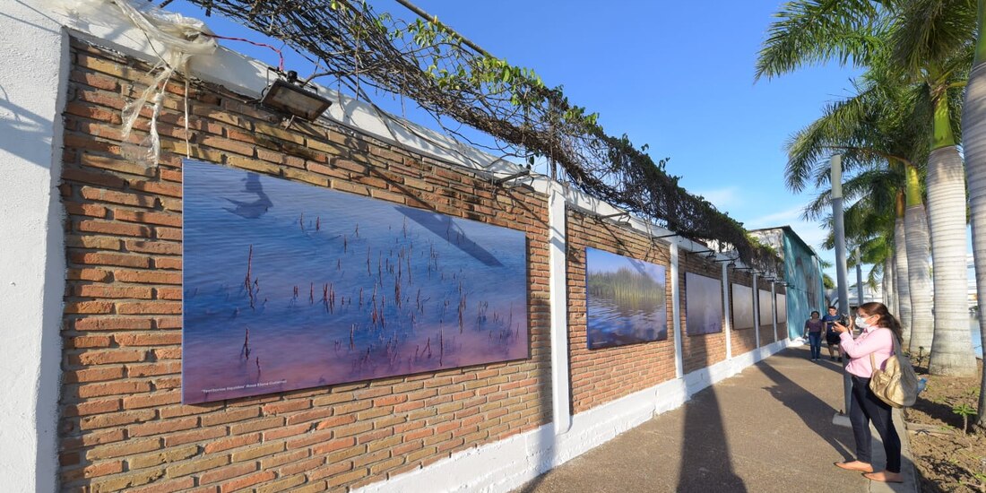 Esta exposición refleja la visión artística de cinco creadores tampiqueños y muestra la riqueza natural, tradicional y turística de una región cuyo elemento principal es el agua