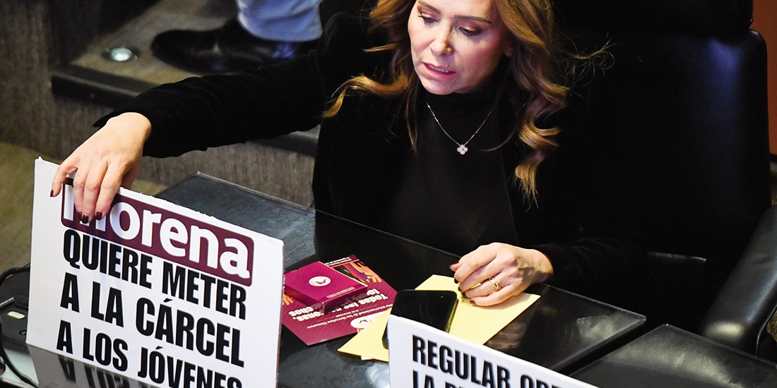 Cristina Ruiz, senadora del PRI, ayer, en la discusión de la reforma.