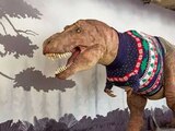 Tiranosaurio con suéter causa furor en Londres