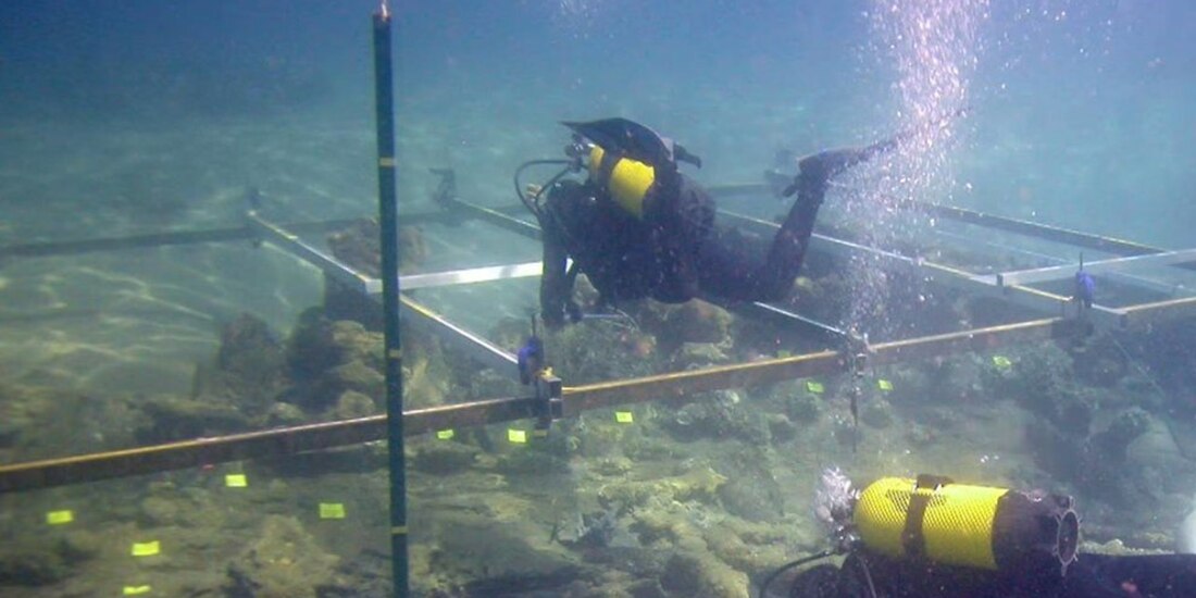 Las jornadas tuvieron lugar del 11 al 14 de marzo.