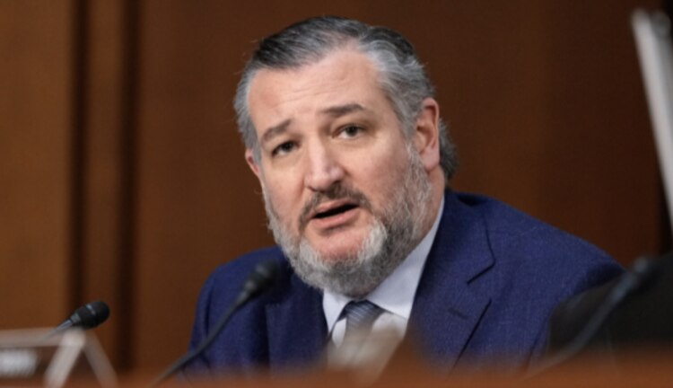 El senador republicano Ted Cruz, en una audiencia de comisiones del Senado de EU, el pasado 15 de enero.
