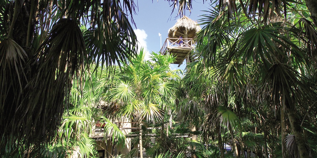 LA SELVA MAYA cautiva con sus paisajes verdes