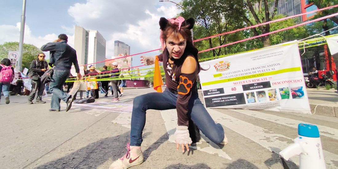 Una persona animalista exige en el bloqueo de Reforma del lunes pasado el regreso del franciscanitos al albergue.
