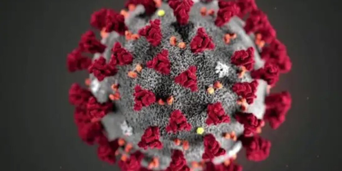 De la variante de COVID Alfa, en México se tiene conocimiento de 834 pacientes infectados.