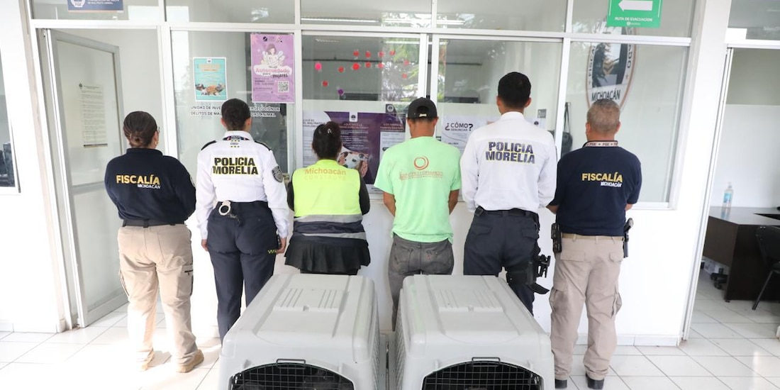 Presentación de detenidos por las autoridades de Michoacán.