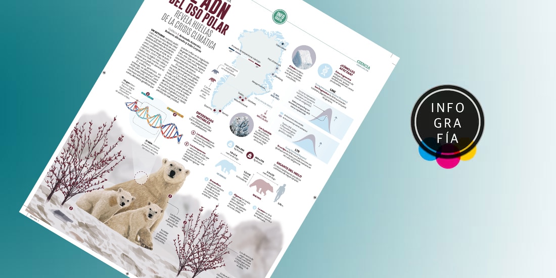 El ADN del oso polar revela huellas de la crisis climática