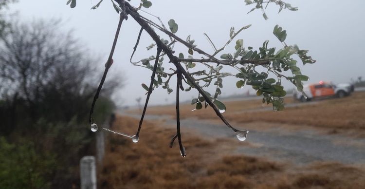 Se presentan condiciones de neblina y formación de hielo en la Autopista a Laredo km 57 Salinas Victoria