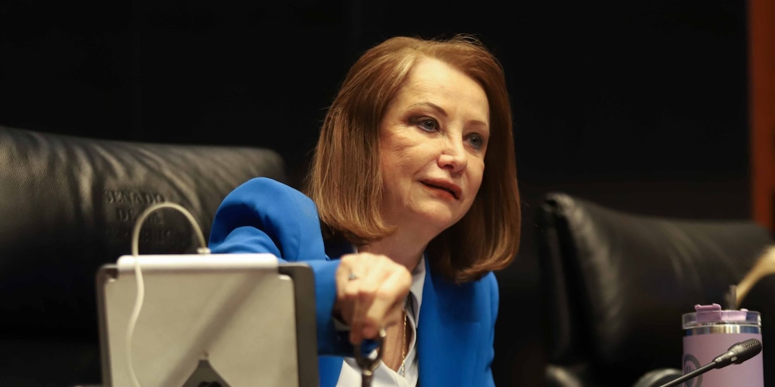Laura Itzel Castillo, presidenta de la mesa directiva del Senado de la República