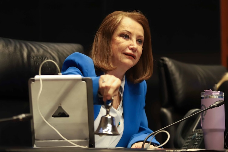 Laura Itzel Castillo, presidenta de la mesa directiva del Senado de la República