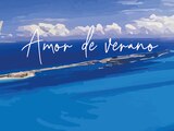 AMOR DE VERANO
