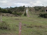 Zona de San Matías Tlalancaleca, Puebla.