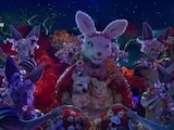 Rito Cangurito de ¿Quién es la máscara? 2026