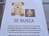 Niño de 2 años busca a “Sr. Osito”, su muñeco de peluche. Foto: Especial