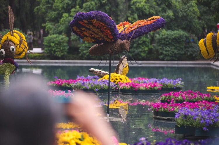 Festival de Flores y Jardines trae paisajes de ensueño