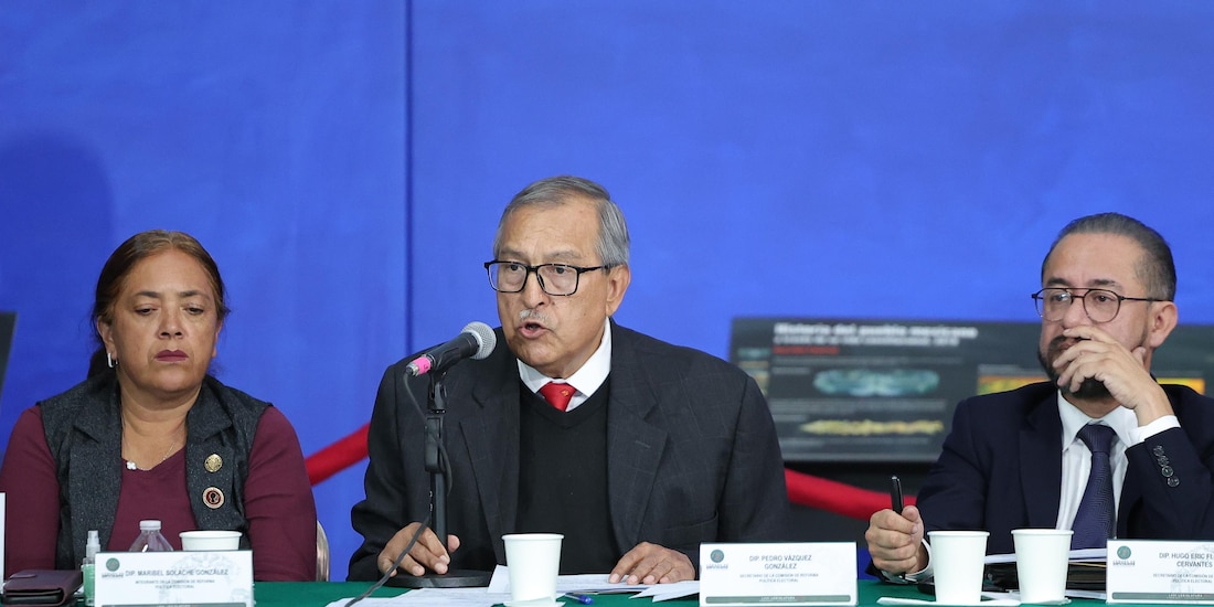 Anunció que su bancada se apartará del dictamen durante la discusión en comisiones.