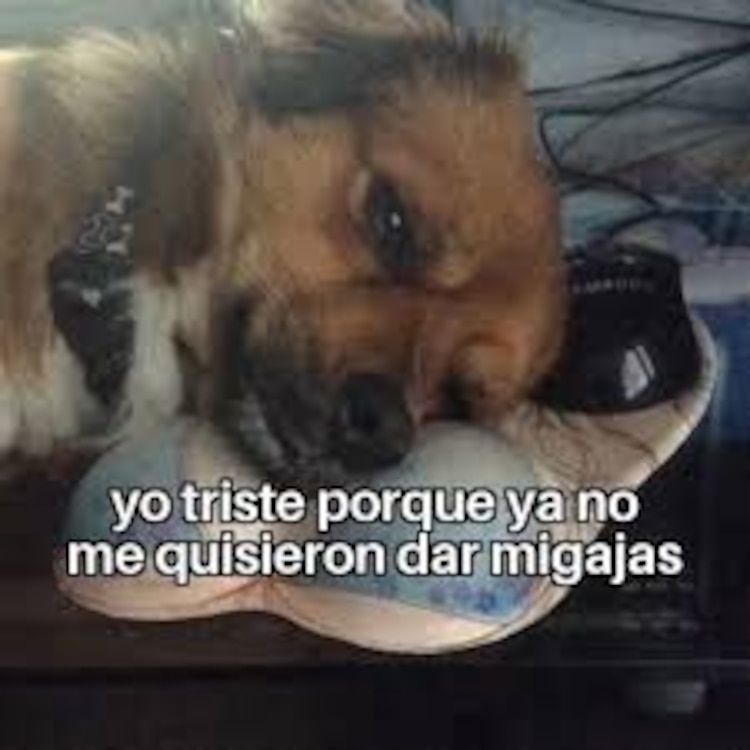 Memes por el Día Internacional del Desamor.