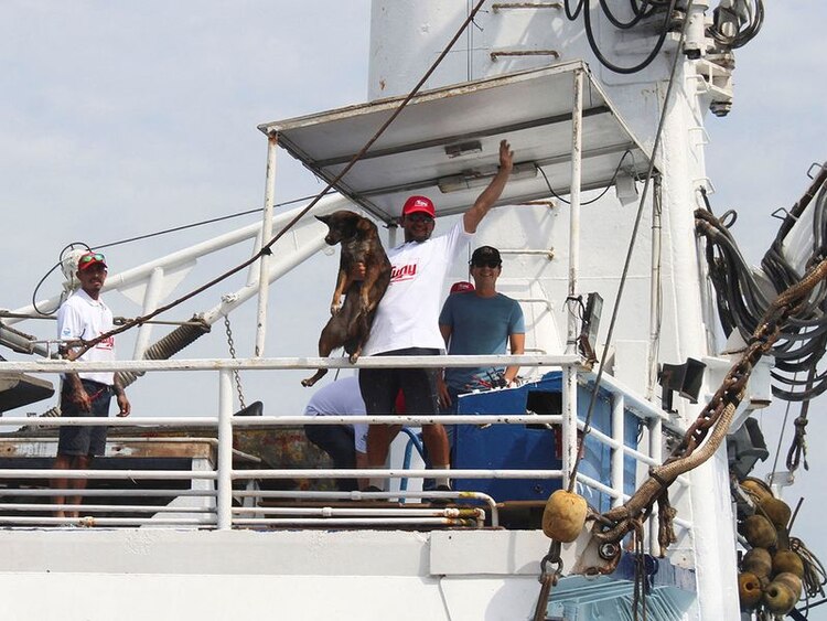 Tim y Bella no permanecerán juntos tras su rescate.