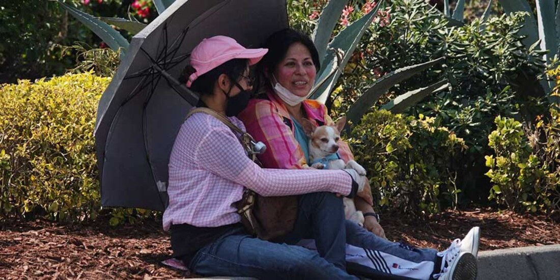 Un par de mujeres sentadas se protegen del sol con una sombrilla. Un perro destaca en la imagen