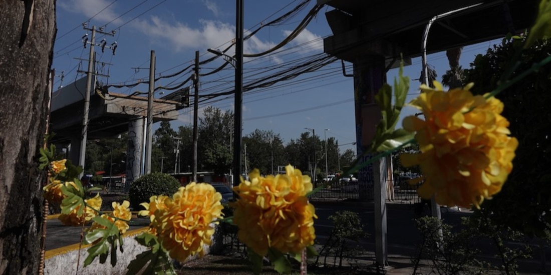 Reorientan 87 mdp de becas para víctimas en L12