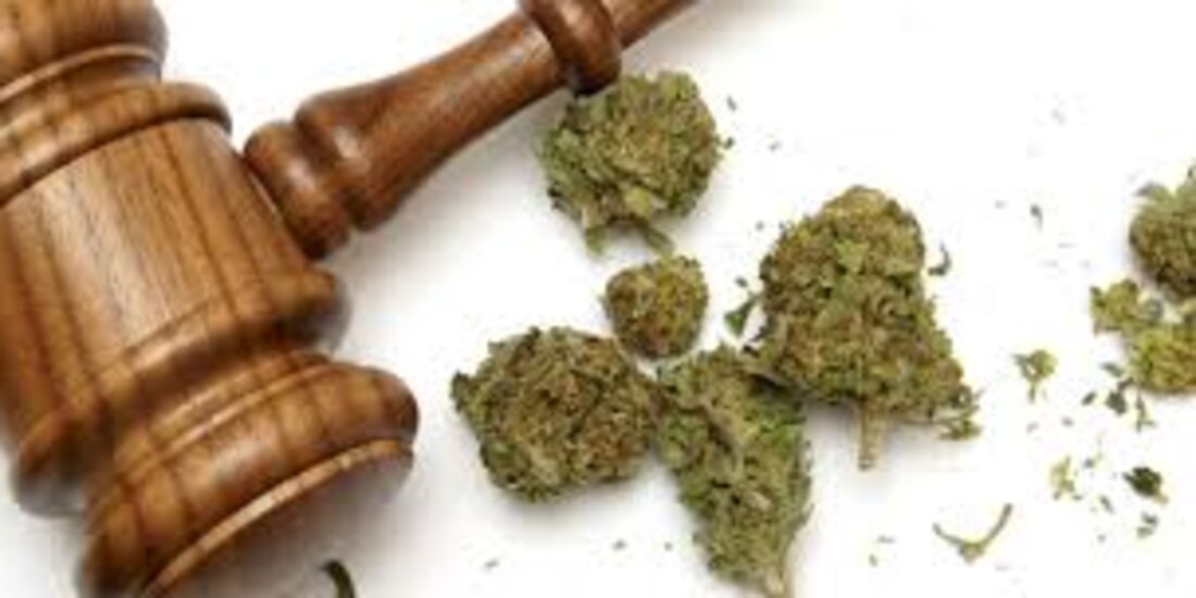 Estos 14 señalamientos del coordinador de Morena a la Ley para regula la marihuana se suman a los 24 que realizaron las Comisiones de Justicia y Estudios Legislativos Segunda.