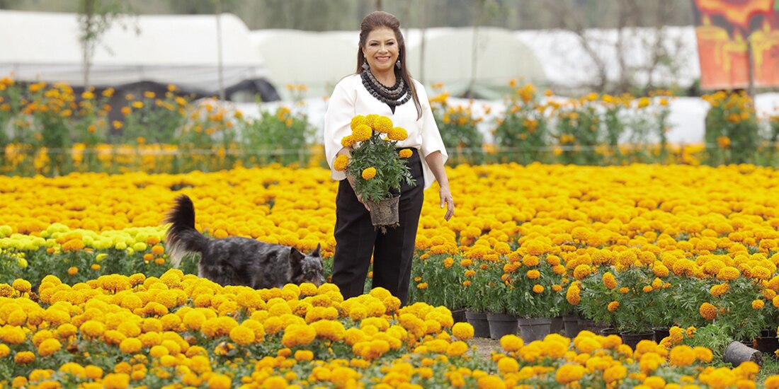 Clara Brugada ayer en los plantíos, al inaugurar la producción.