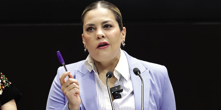 El martes, Lilia Aguilar, diputada del PT, denunció en tribuna amenazas e insultos por su postura ante la reforma electoral.