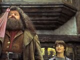 ¿Por qué Hagrid tenía prohibido hacer magia en el mundo de Harry Potter?