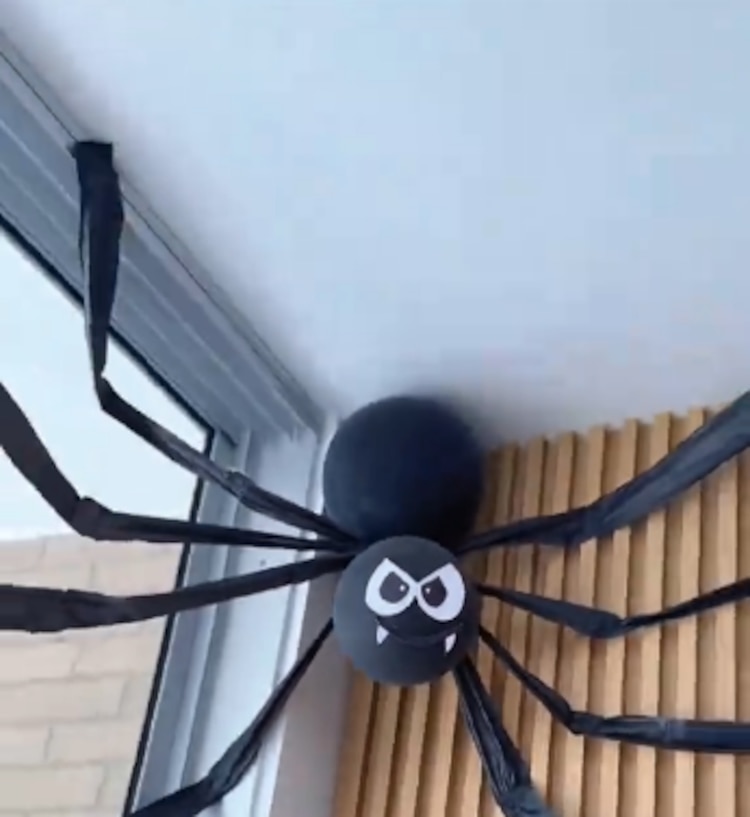 Araña con globos