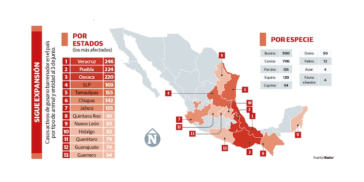 SIGUE EXPANSIÓN