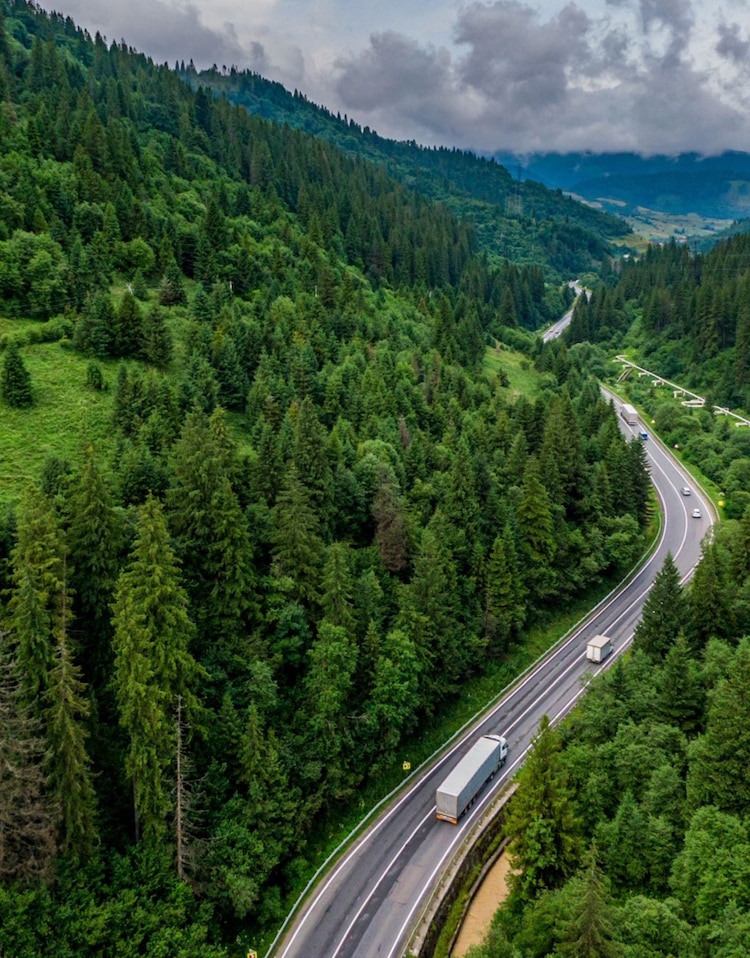 El Consejo Internacional de Normas de Sostenibilidad (ISSB) usará las directrices del TNFD como base para su nueva norma.