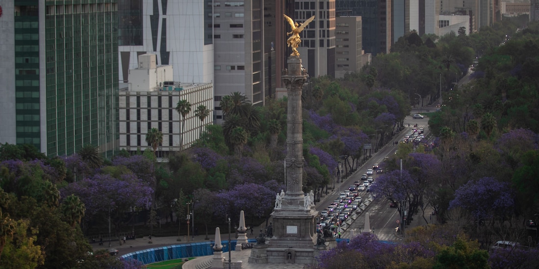 Te presentamos algunas actividades para disfrutar de este fin de semana en la CDMX.