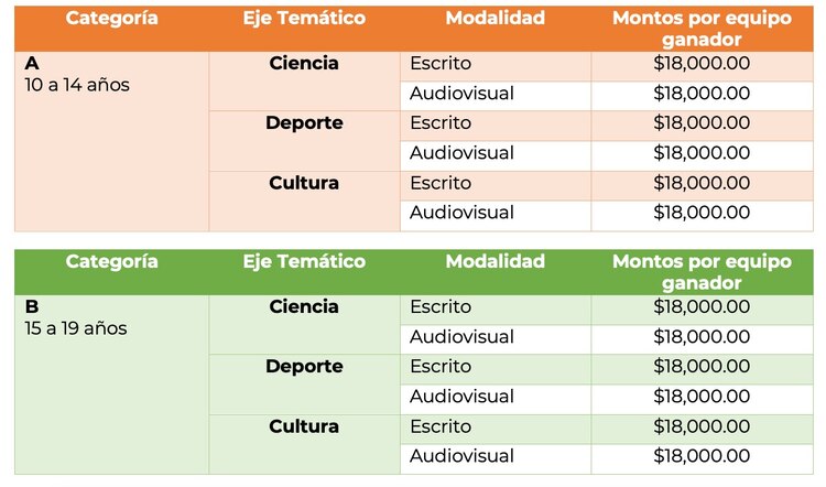 Concurso "Proyectos científicos, culturales y deportivos para niñas y adolescentes a nivel nacional"