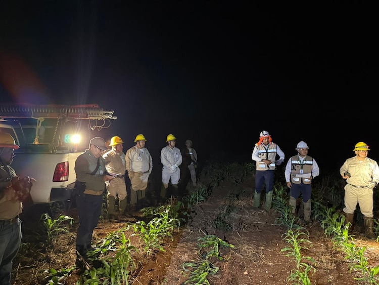 Desde el primer momento, trabajadores de la CFE atendieron incidente.