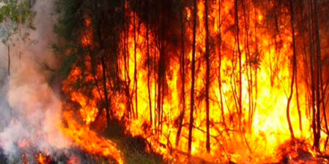 Incendios forestales en México