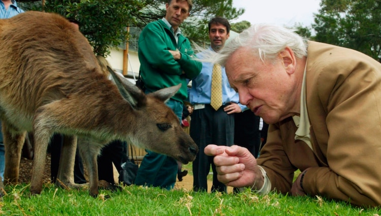 David Attenborough junto a un canguro durante su visita al Zoo de Taronga en Sídney, Australia, el 14 de octubre de 2003.