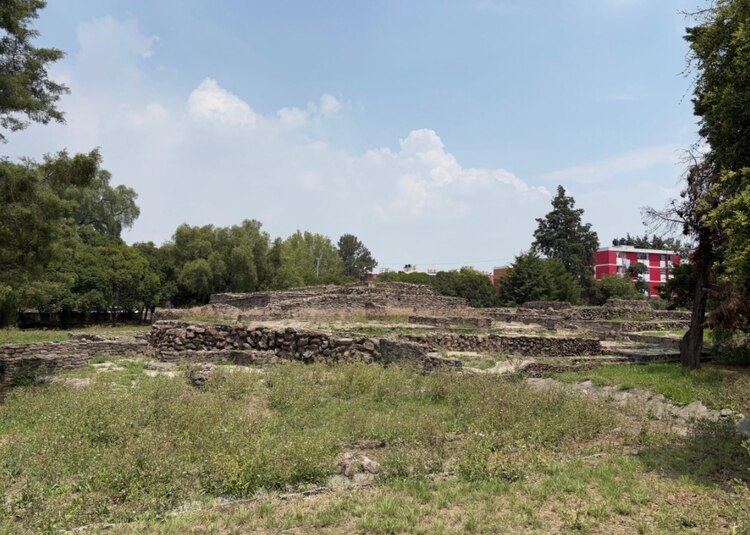 Tenayuca II estaba cerrado y con el pasto sin podar
