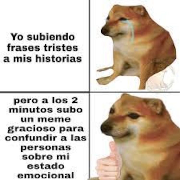 Estos son TODOS los memes con los que recordaremos para siempre a ...