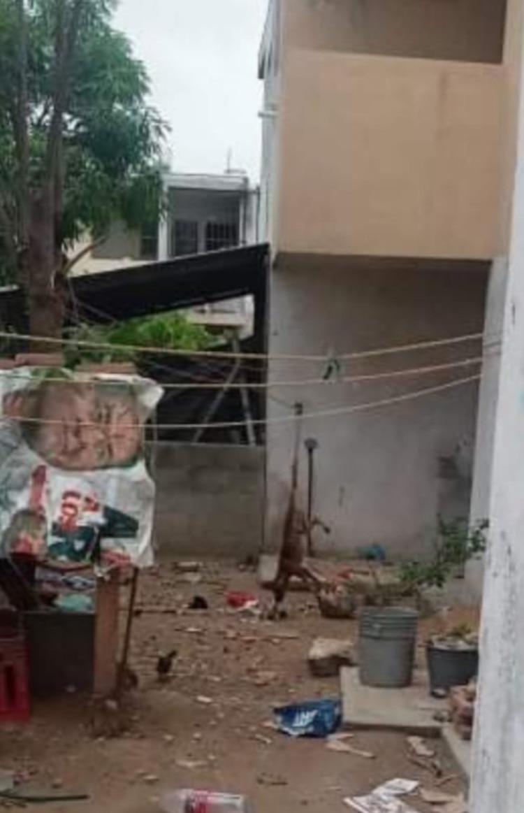 Mujer cuelga a perro de la cola en Altamira, Tamaulipas