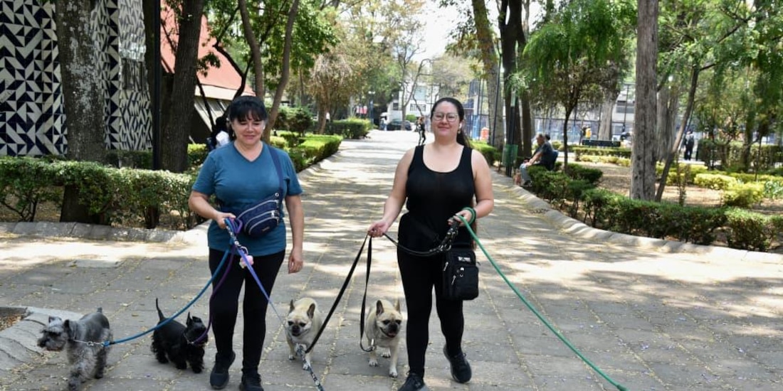 La estrategia "Orden y Seguridad" posiciona a la demarcación como referente de tranquilidad en la Megalópolis.