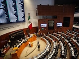 Aspecto durante Sesión Ordinaria en la Cámara de Senadores en una fotografía ilustrativa.