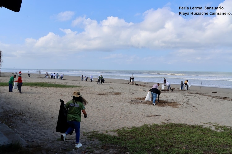 Estrategia Nacional de Limpieza y Conservación de Playas en la Regional Noroeste y Alto Golfo de California