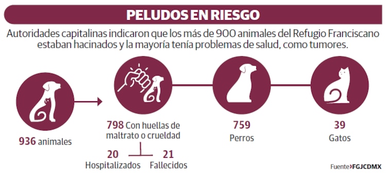 PELUDOS EN RIESGO
