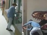 Se mete a robar en museo y hasta se toma selfie con dinosaurio (VIDEO)