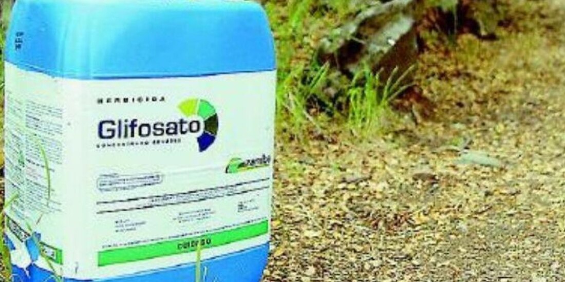 Monsanto uso de glifosato